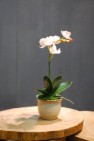 decorative artificial silk flower arrangements p007